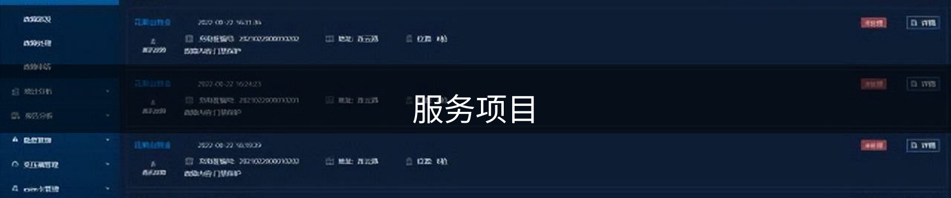服务项目