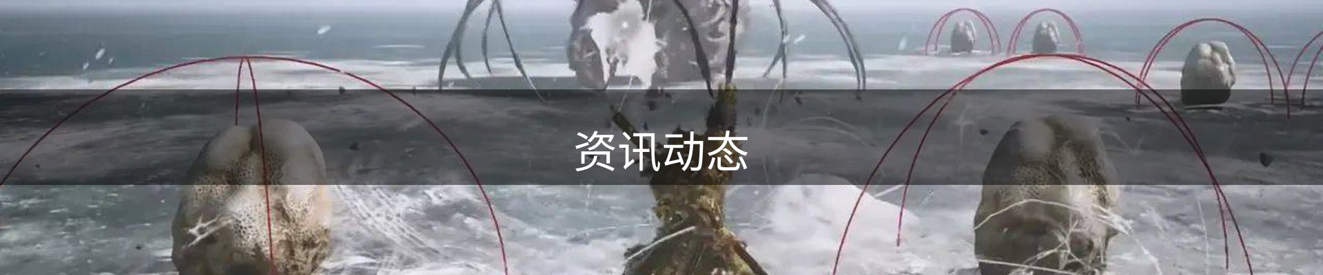 资讯动态